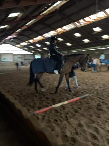 equitation-1