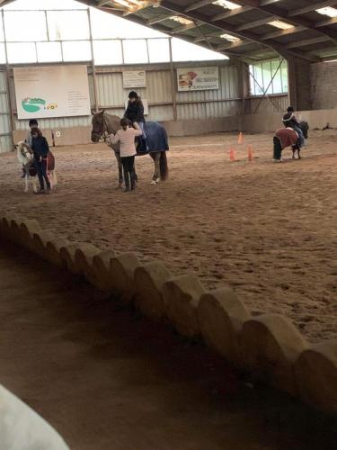 equitation-3